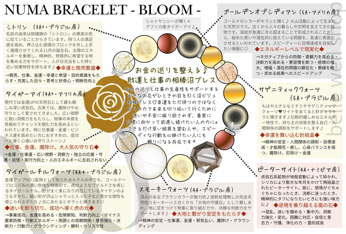 Bloom -Money Flow-