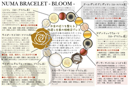 Bloom -Money Flow-