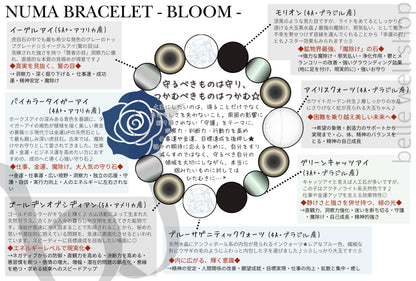 Bloom -Guard and Catch-