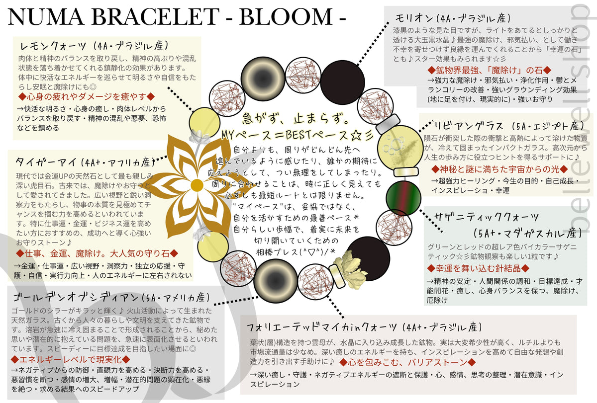Bloom -Best Pace-