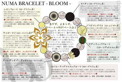 Bloom -Best Pace-
