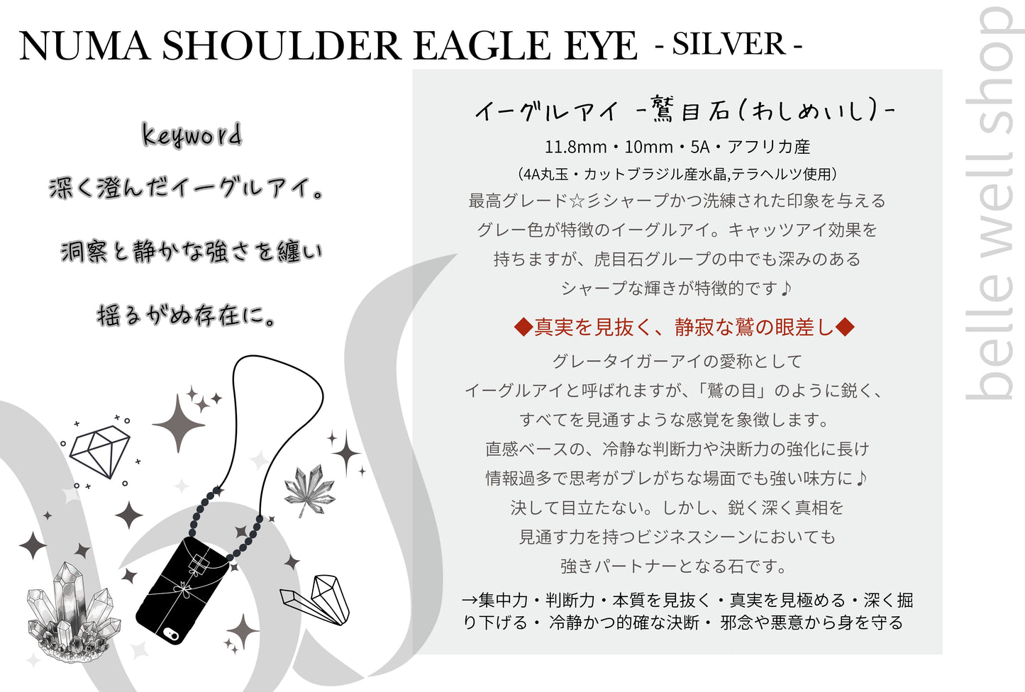 NUMA Eagle Eye-Silver-