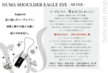 NUMA Eagle Eye-Silver-