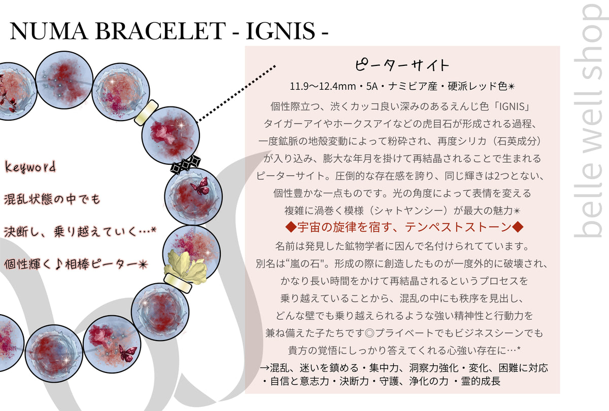 IGNIS