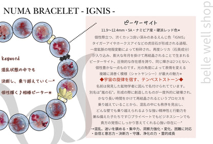 IGNIS