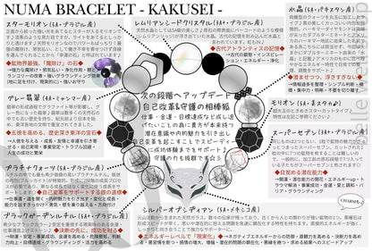 KAKUSEI
