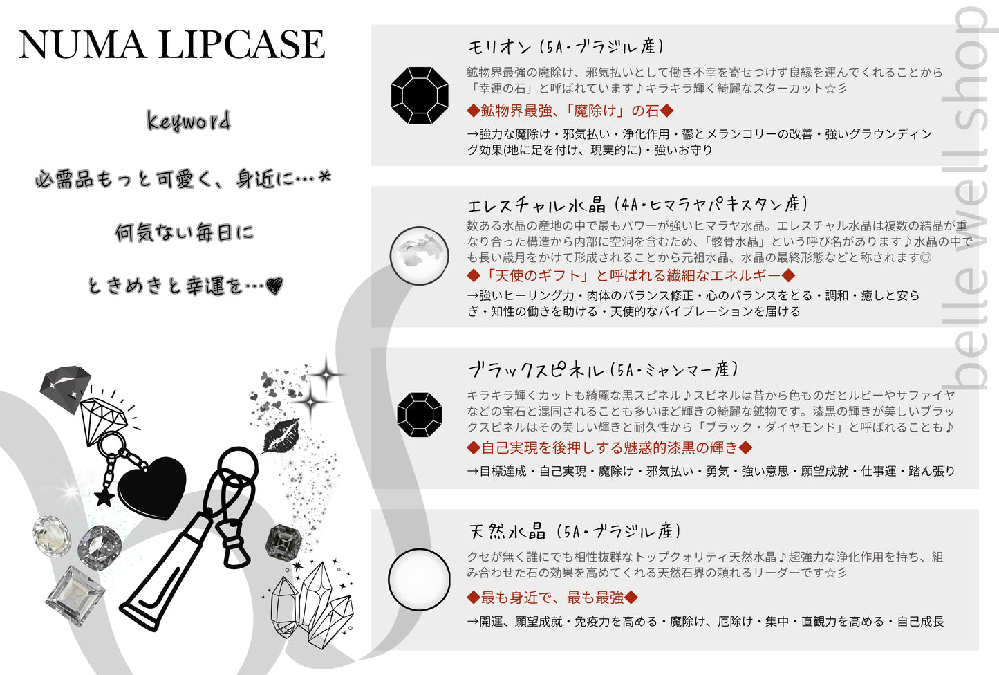 NUMA Lip Case