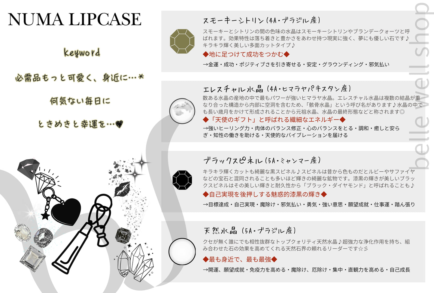 NUMA Lip Case