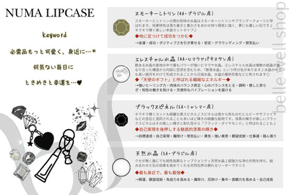 NUMA Lip Case