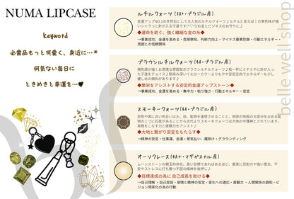 NUMA Lip Case