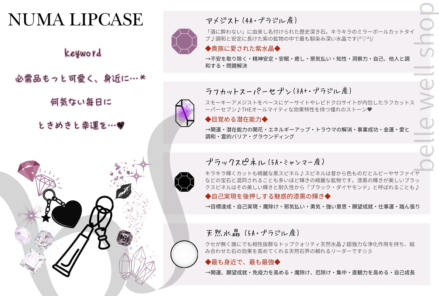 NUMA Lip Case
