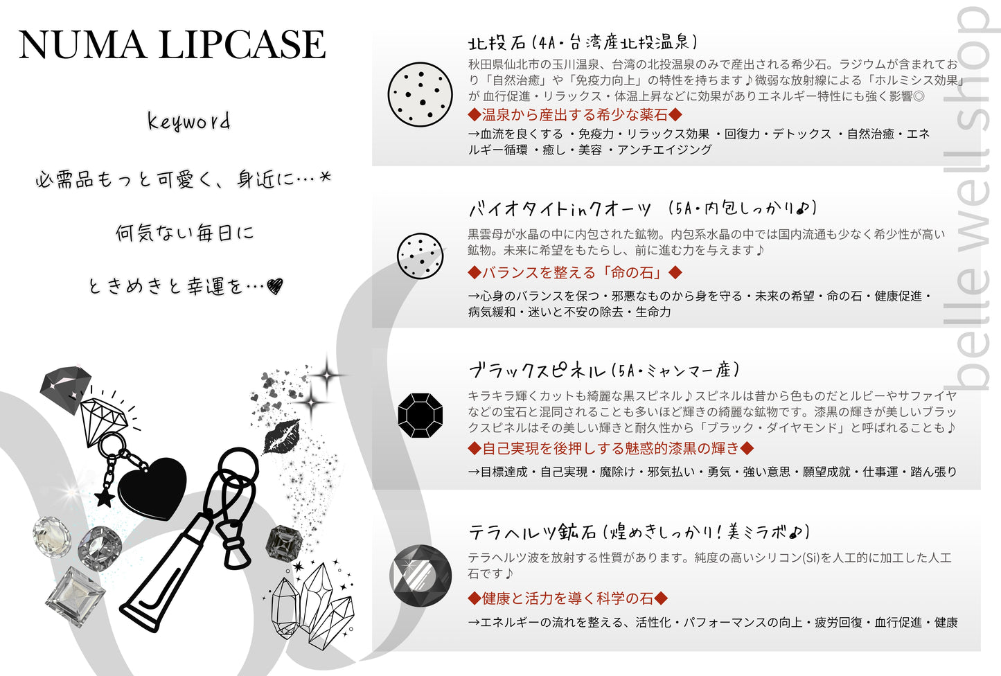 NUMA Lip Case