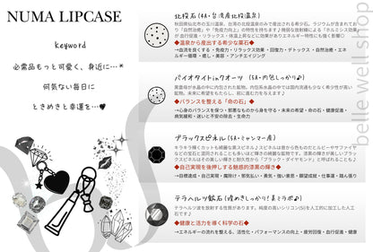 NUMA Lip Case
