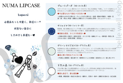 NUMA Lip Case
