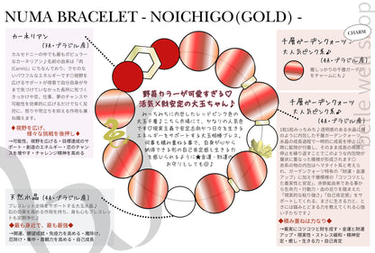 NOICHIGO-Gold-