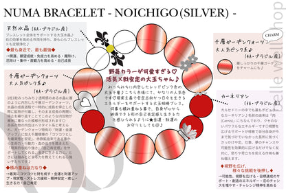 NOICHIGO-Silver-