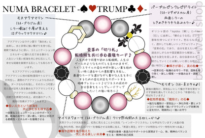 ♠♥trump♣♦